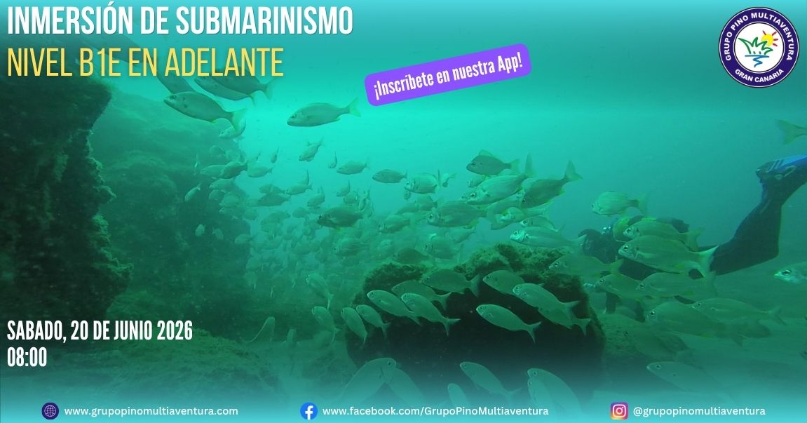 Buceo