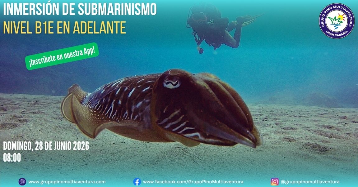 Buceo