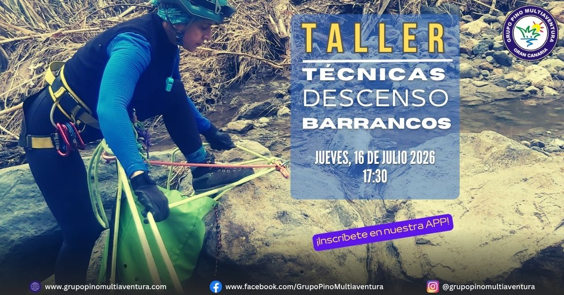 Taller