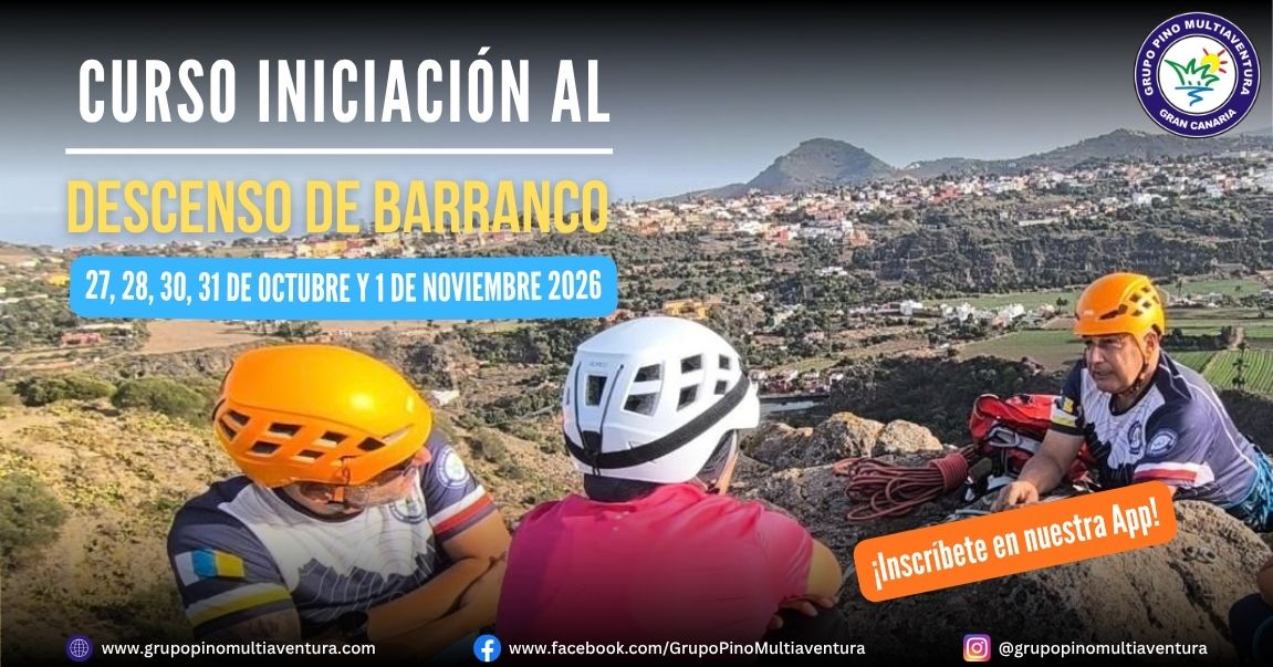 Curso